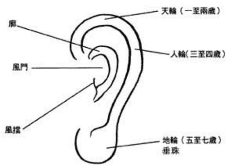 尖耳朵面相|面相入门